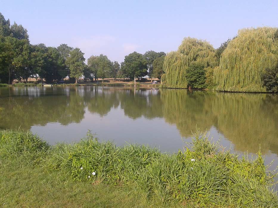 fishing pond within the campsite in Charente Maritime