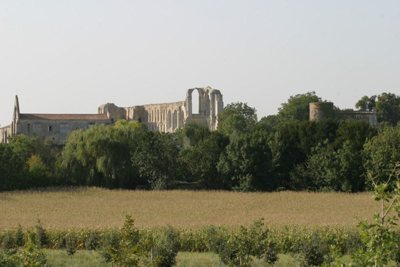 Maillezais and its abbey near the campsite