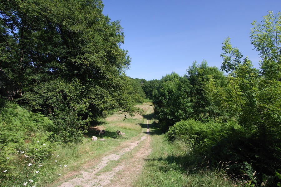 hikes near the campsite in Charente Maritime